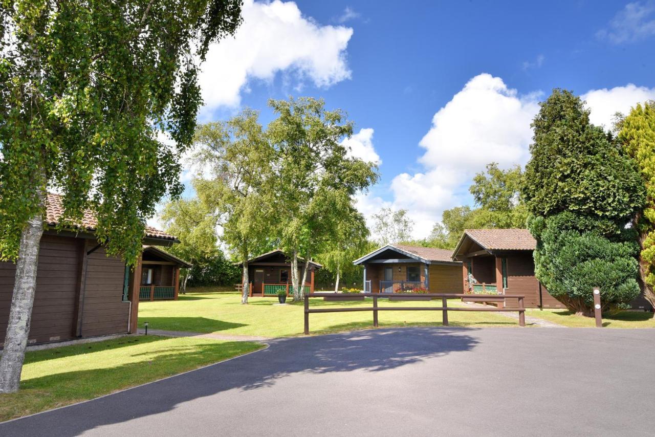 4 Pinewood Retreat Villa Лайм Риджис Екстериор снимка